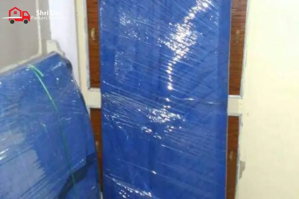Best Packers and Movers in Mayur Vihar